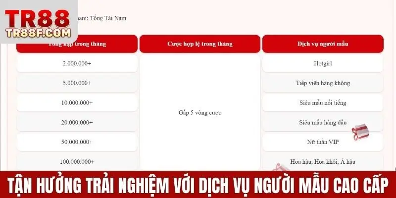 Tận hưởng trải nghiệm với dịch vụ người mẫu cao cấp